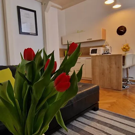 Medea 3 With Private Parking Apartment Opatija